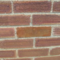 BILD4982.JPG
